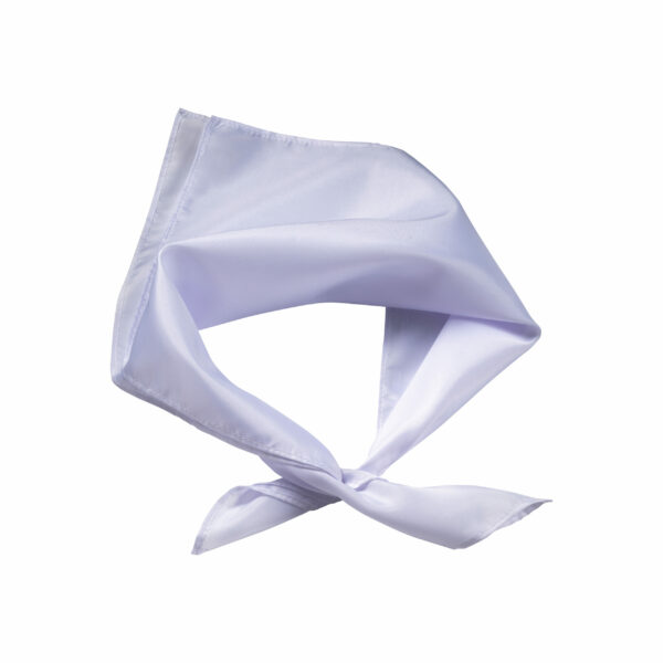 FOULARD/BANDANA "POLY" - LP23305
