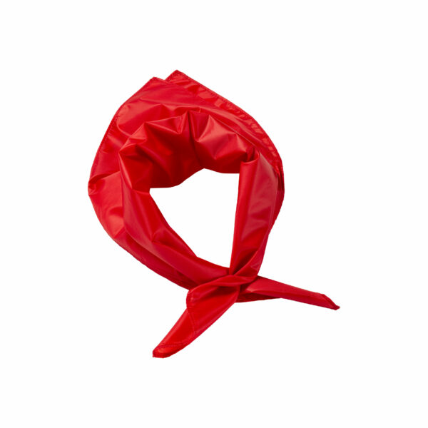 FOULARD/BANDANA "POLY" - LP23305 - immagine 2
